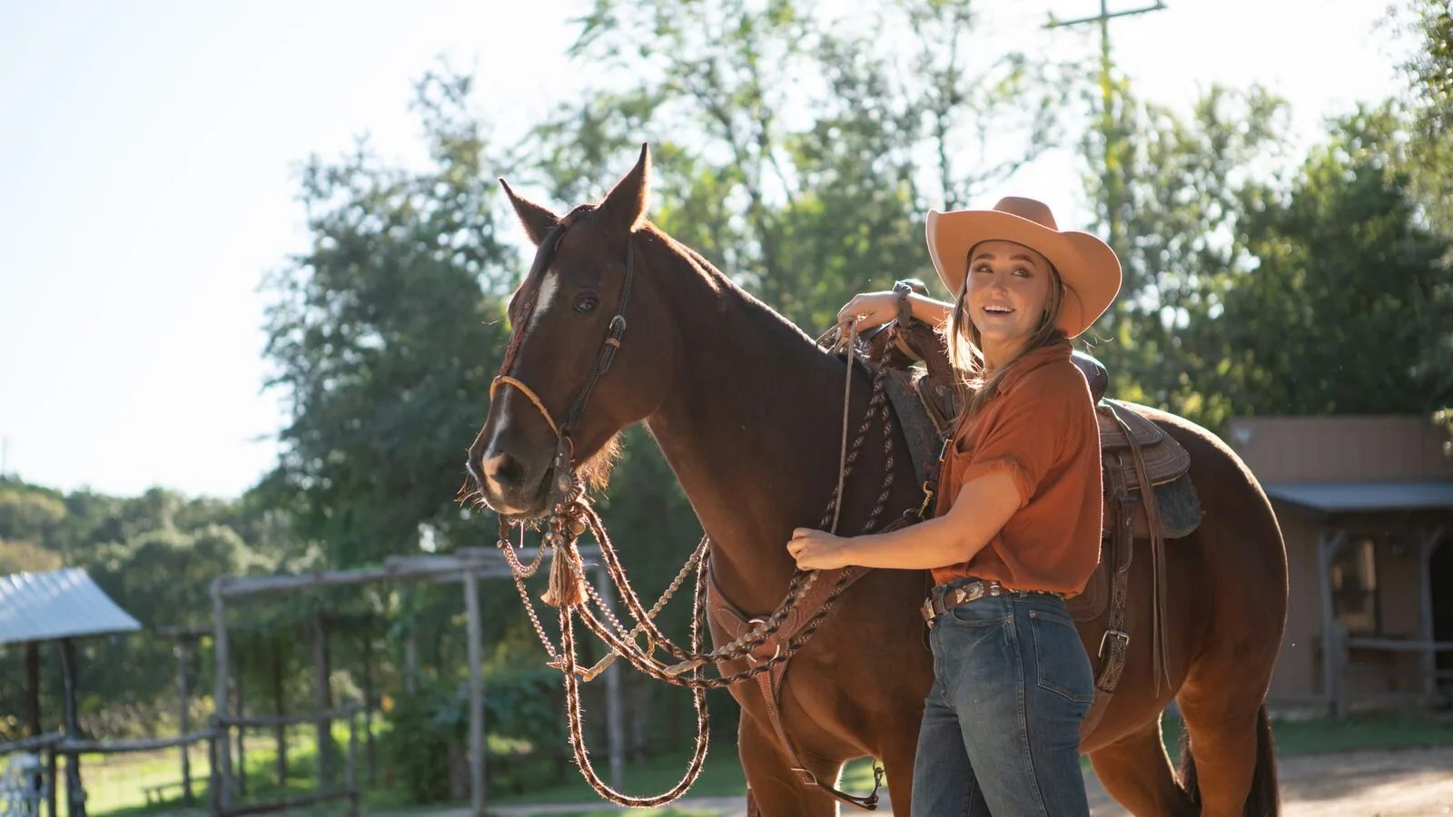 person standing beside horse holding onto reigns